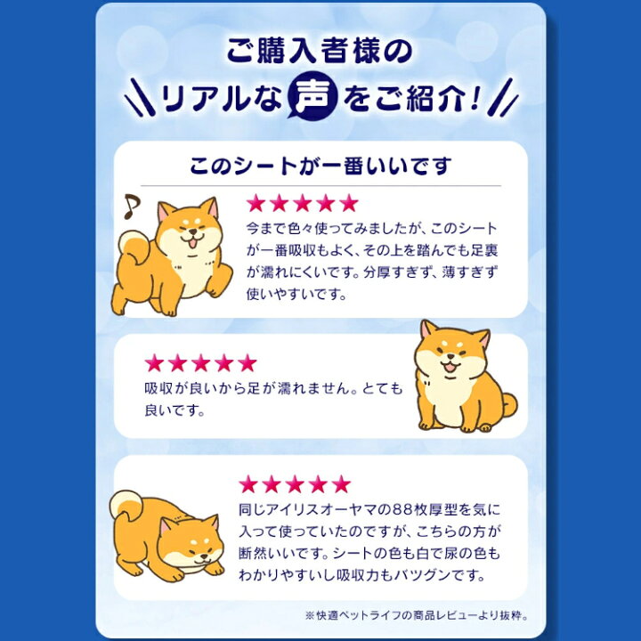 楽天市場】【まとめ買いで500円クーポン対象☆7/11 9:59迄】ペット 