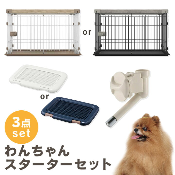 楽天市場】[1/10 先着限定最大1,000円OFFクーポン]＼初心者さんでも 