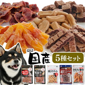 ySALE19%OFFz_5Zbg^  W[L[5Zbg ACXI[} ybgt[h oGeBpbN   W[L[ p hbO ԐH J ^ ybgt[h Ck 