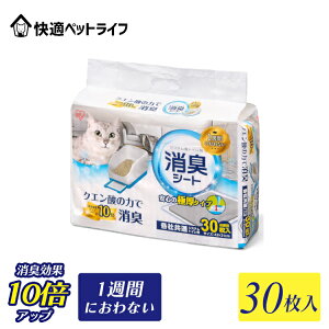 yzy܂Iz_N[Vo^͏L L gC V[g VXeLgCpLV[g N[ Raclean 301TԂɂȂ NG_̗͂ŏLlRgCp 