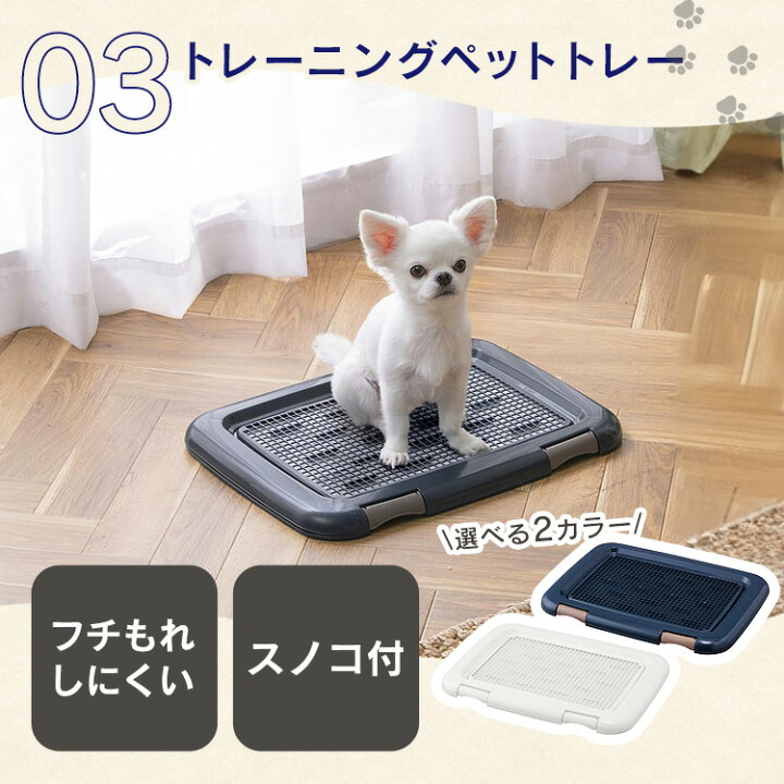 楽天市場】犬 ケージ スターターセット 5点 サークル 室内 小型犬 中型 