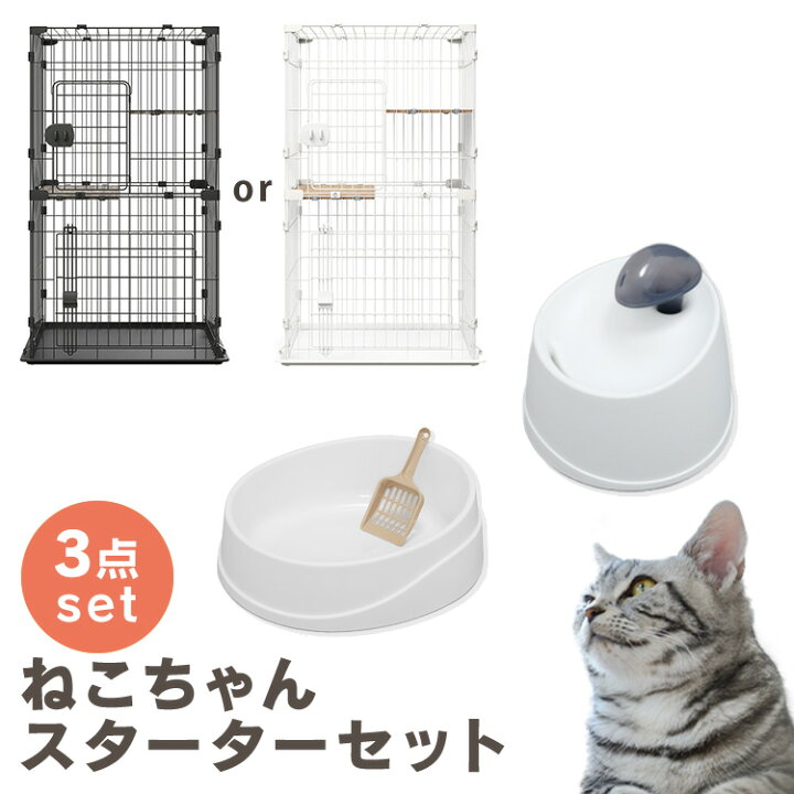 楽天市場】[最大350円クーポン有！]＼初心者さんでも安心♪／ 猫  