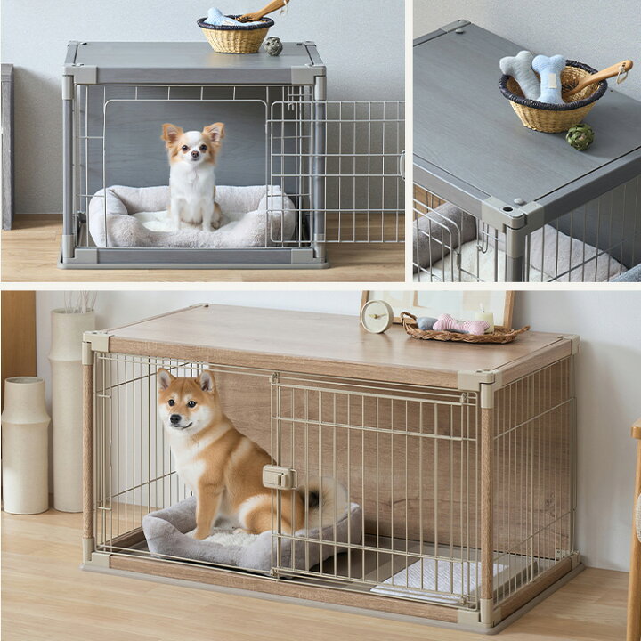 楽天市場】《楽天1位》犬 ゲージ 超小型犬 小型犬 中型犬 屋根付き 天 
