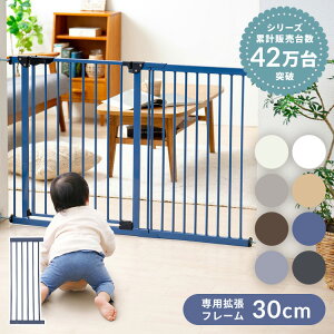 X`[Q[gpgpl 30cm 88-1213 xr[Q[g g pl L Q[g Ch ȒP t[ Chpl 30cm 30 30cm gp[c ybgQ[g