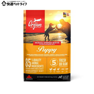 ���p �h�b�O�t�[�h ORIJEN �I���W�� �p�s�[ 6kg ���ޕs�g�p �q�� �e�� �v���~�A���t�[�h�I���W�� �yB�z [64992180607]