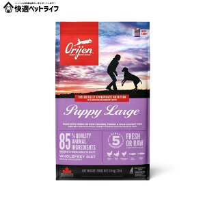 ���p �h�b�O�t�[�h ORIJEN �I���W�� �p�s�[���[�W 11.4kg ���ޕs�g�p �q�� �e�� ��^�� �v���~�A���t�[�h�I���W�� �yB�z [64992181123]