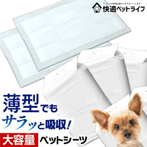 yAciẑɂz  V[c ybgV[c ^ ybgV[g gCV[g gCV[c L  M[ 800 Ch 400 e Ɩp  ܂Ƃߔ g