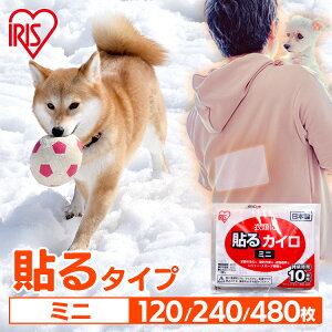 JC \ \JC ~j 120 240 480 ܂Ƃߔ 10Ԏ ĝăJC ObY   w   h ΍ ₦΍ ʋ ʊw AEghA h ~ ۂۂ