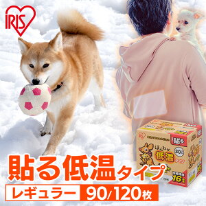 JC \ \JC ቷJC M[ 90 120 ܂Ƃߔ 16Ԏ ĝăJC ObY ق킩   w  h ΍ ₦΍ ʋ ʊw h ۂ