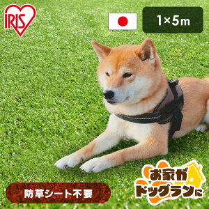 _낪hbOɁ^lH 1m×5m AhlH RP-3015  lH 1m×5m G΍ lHŐ Ő ACXI[} lHŃ}bg Ő}bg ACX\[R[