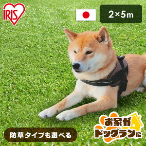 _낪hbOɁ^lH 2m×5m ACXI[} hV[ǧ^ Ő [ 10 ŏ30mm RP-3025 IP-3025 lHŐ  lHŕ }bg Ő A x_ ybg h HŃ}b