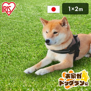 _낪hbOɁ^lH 1m×2m AlH IP-3012 lH 1m×2m lHŐ Ő Ń}bg ACXI[} lHŃ}bg Ő}bg ACX\[R[