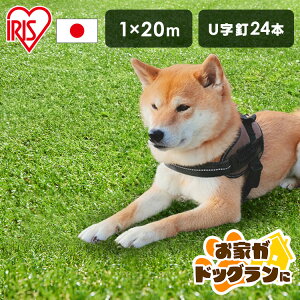 _낪hbOɁ^lH 1m×20m AlH IP-30120 UB24{t  lH 1m×20m lHŐ Ő Ń}bg ACXI[} lHŃ}bg Ő}bg ACX\[R[