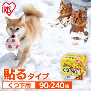 JC \ \JC CpJC 90 240   ߂ ĝăJC ܂Ƃߔ C p ĝ O W[ X|[cϐ ʋ ʊw ~ h ΍ PKN-15HK ACX