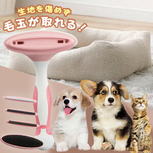 yő400~N[|ɂDAYzm ߗނɂ₳ыʎuVыʎ uV vdl GbW g guVt jbg Cogit  RWbg yDz