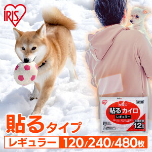 JC \ \JC M[ 120 240 480 ܂Ƃߔ 12Ԏ ĝăJC ObY   w  h ΍ ₦΍ ʋ ʊw AEghA h ~ ۂ