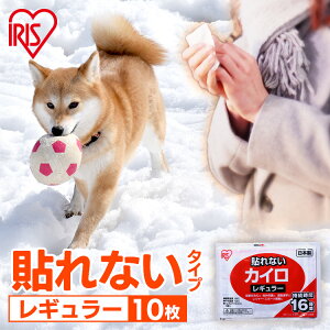 JC \Ȃ \ȂJC M[ 10 ĝ 16Ԏ \Ȃ ĝăJC ObY  h ΍ ₦΍ ʋ ʊw AEghA O h ~ ۂ