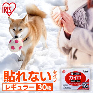 JC \Ȃ \ȂJC M[ 30 ܂Ƃߔ ĝ 16Ԏ \Ȃ ĝăJC ObY  h ΍ ₦΍ ʋ ʊw AEghA h ~ 