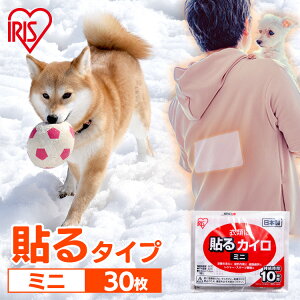 yԌ聚17%OFFzJC \JC ~j 30 ĝăJC ܂Ƃߔ ĝ \ \^Cv \JC~j W[ o O h ΍ h ~ ۂۂƑ AC