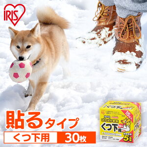 JC \ \JC CpJC 30 (15×2)   ߂ ĝăJC C p ĝ O W[ X|[cϐ ʋ ʊw ~ h ΍ PKN-15HK ACXI[