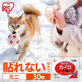 カイロ 貼らないカイロ ミニ 30枚 使い捨てカイロ まとめ買い 使い捨て 貼らない 貼れない 貼らないタイプ レジャー お出かけ 屋外 防寒 寒さ対策 防災 備蓄 ぽかぽか家族 アイリスオーヤマ