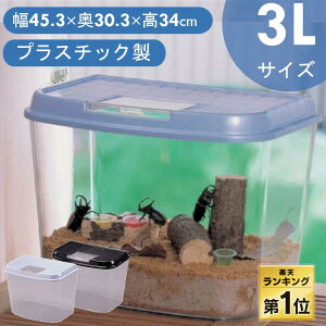 syV1ʁt P[X P[X 烉hW{ 3L ̎ ċx R ώ@ 45.3×s30.3×34cm p[u[ ubN  ނ   JugV 