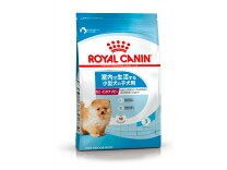 楽天市場】ロイヤルカナン ミニ インドア パピー 子犬 800gの通販