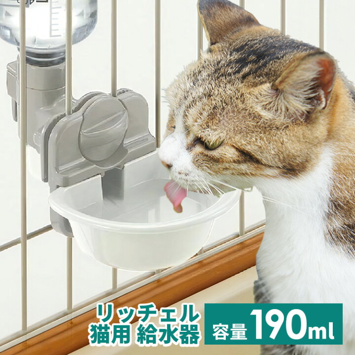 楽天市場】猫 給水器 リッチェル キャットウォーターディッシュ S 