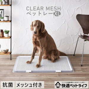  gC gCg[ Ch   g[ Vv  pgC ybg XL {rAR ybg gC NAbV ^ ^ c V VjA   