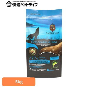 yP10{2710zAuVA HMNT[fBci5kg 521205000 }O CV OCt[ ς  i`  AM[ 畆 yBz