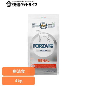 Forza10 i[ANeBu ~fBA 4kg Ö@H i`  AM[ t  A  tsS ^pN  yBz