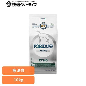 Forza10 GR[ANeBu ~fBA 10kg Ö@H i`  AM[  }Z`A O     yBz
