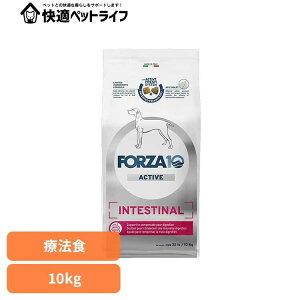 Forza10 CeXeBiANeBu ~fBA 10kg Ö@H i`  AM[ Ȃ ݒ      yBz