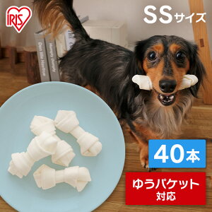 y100~OFFN[|420`z K   ybg pK     ^K ~N ݂ ybgp ^  ~N SSTCY 40{ ACXI[} P-MGY40