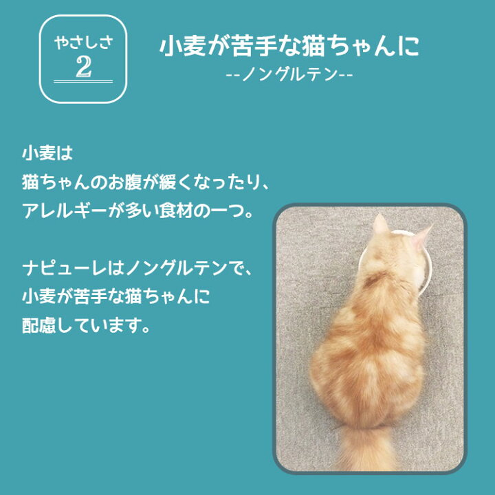 楽天市場 クーポン利用で最大350円off 猫 おやつ カツオ ねこ用ナピューレ かつお24本 P Nnk24 猫 ねこ ネコ キャット 間食 キャットフード アイリスオーヤマ 快適ペットライフ