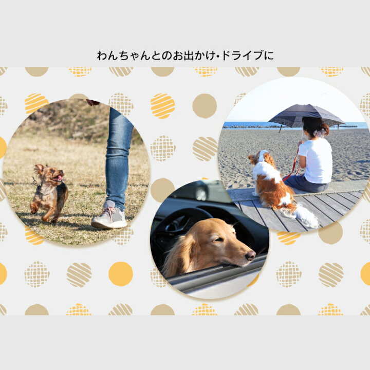 最大350円オフクーポン有 ワンにゃんday 犬 シルバー 小型犬 折りたたみケージ ハウス ゲージ Oke 600r キャリー 屋根付き 持ち運び 猫