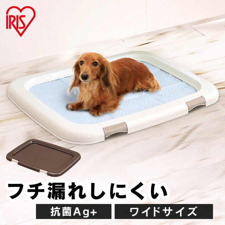 楽天市場 最大350円クーポン有 犬 トイレ アイリスオーヤマ フチもれしにくいペットトレー Fmt 635 ミルキーブラウンペットトレー ペット トイレ 消臭 楽天 しつけ パピー 子犬 ペットトイレ トイレトレー 快適ペットライフ