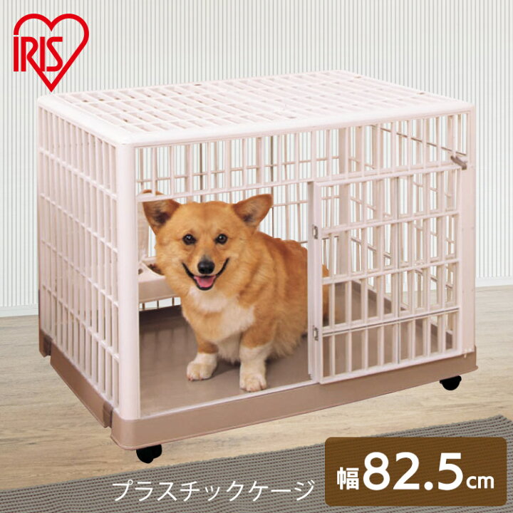 楽天市場 2 1限定 P10倍 ケージ 犬 ゲージ ペットケージ プラケージ 810 ゲージ サークル 室内犬 キャリー クレート 室内ハウス ハウスケージ ケージ 犬用 Iris Ohyama 家 犬の家 犬のおうち Ranking 快適ペットライフ