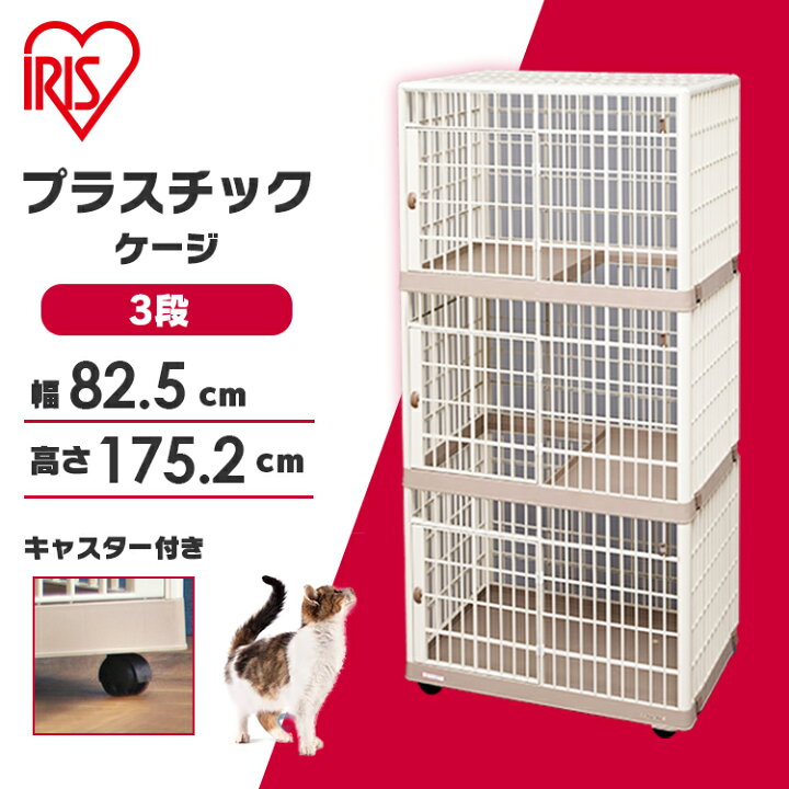 楽天市場】【激アツ価格×最大10%OFFクーポン/11日10時迄】猫 ケージ 