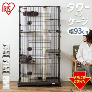 yԌ聚10%OFFzL P[W Q[W 3i Lbg^[ ܂Ƃ nbNt bNt Ch LX^[t Lbg^[ ȃXy[XLP[W LQ[W PCLC-903 ^  