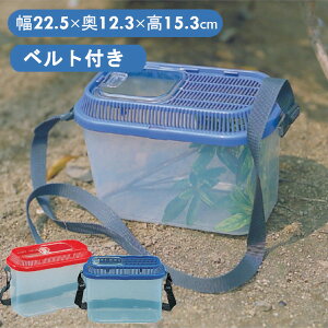 y100~OFFN[|2420`z P[X P[X  Ƃ肱 ̎ ċx R ώ@ 22.5×s12.3×15.3(cm) SD-200 bh u[ ނ   J