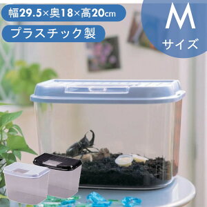 yP3{2420`z P[X P[X   烉h CY-Mp[u[ ubN   JS   ċx R ώ@  NA NAP[X  Ju