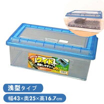 楽天市場】クワガタ 飼育ケースの通販