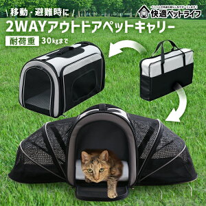 yP5{2420`z L ybg L[ obO P[W g P[X ܂肽  ybg P[W T[N V_[ T[N h  o ʉ@ W1P10 2WAY AEghAybg