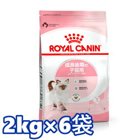 ＼25日限定！全品P2倍／ロイヤルカナン キャット キトン 2kg 正規品 猫用 キャットフード ドライ カリカリ キトン 子猫用 生後4ヵ月齢以上 12ヵ月齢まで 仔猫 幼猫 小猫 プレミアムフード ロイカナ ROYALCANIN 【D】[3182550702423]【rccf11】