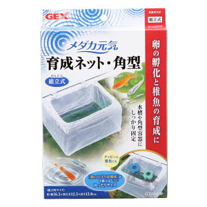 ANAE Y  _J _JC 琬lbgp^_J lbg 琬 p^ t WFbNX z TCY ȒPg GEX