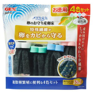 ANAE Y  _J _JC ̂Y4FZbg_J @ Y  琬 WFbNX Yݕt₷ ׂ 炩@ GEX