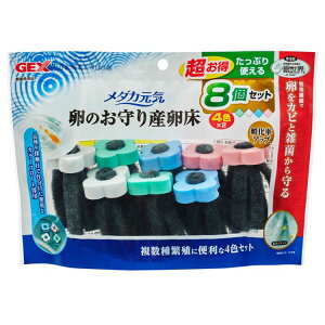 _JC ̂Y 8 4F×2_J @ Y  琬 WFbNX Yݕt₷ ׂ 炩@ GEX