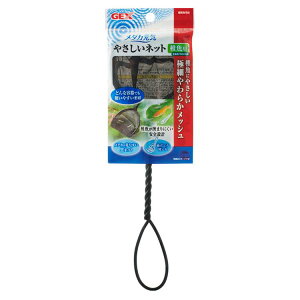 ANAE t  _J _JC ₳lbg tp_J lbg t bV | WFbNX ₷ ݂ɂ ubN GEX