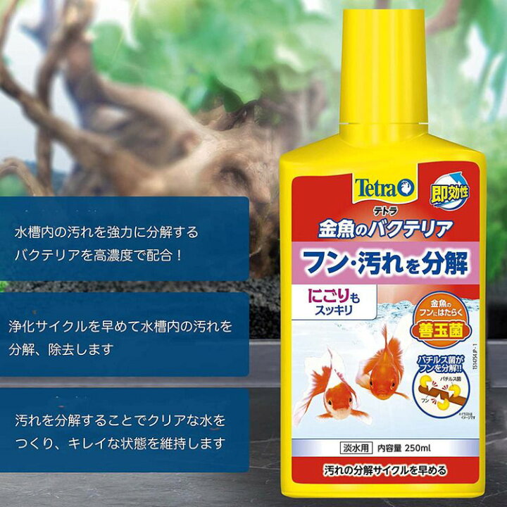 楽天市場 テトラ 金魚のバクテリア100ml 水質調整剤 ニオイ 汚れ 分解 ニゴリ にごり におい きんぎょ ふん フン D B 快適ペットライフ